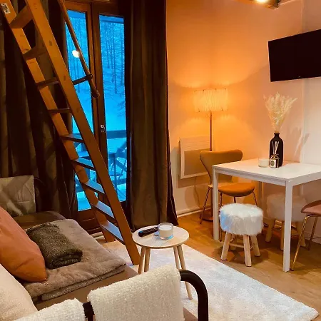 Appartement Avec Coin Nuit En Mezzanine La Foux D'allos *