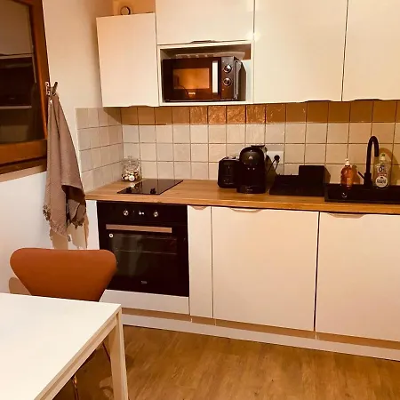 Avec Coin Nuit En Mezzanine La Foux D'allos Appartement *