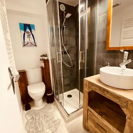 Appartement Avec Coin Nuit En Mezzanine La Foux D'allos *