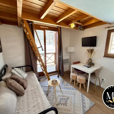 Avec Coin Nuit En Mezzanine La Foux D'allos Appartement
